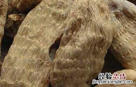 天麻泡水喝有什么作用 天麻泡开水喝有什么作用