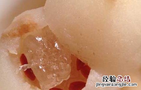 冰糖雪梨的功效与作用 冰糖雪梨的功效与作用会不会太凉了