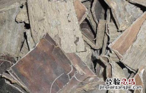 杜仲可以泡水喝吗怎么泡 杜仲可以泡水喝吗