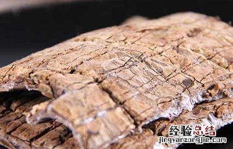 杜仲可以泡水喝吗怎么泡 杜仲可以泡水喝吗