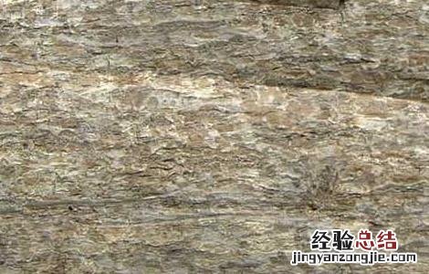 杜仲可以泡水喝吗怎么泡 杜仲可以泡水喝吗