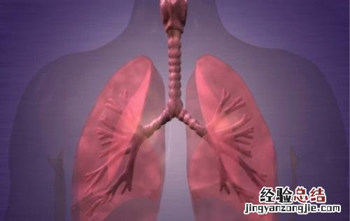 急性支气管炎 急性支气管炎什么原因引起的