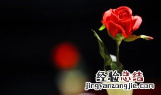 哪些花开花时间与昆虫活动的时间有关 来这里了解下