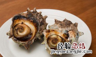 海螺需要煮多长时间才熟 海螺一般煮多久能熟