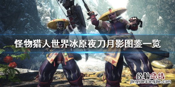 怪物猎人世界冰原夜刀月影属性怎么样 夜刀月影图鉴一览_网