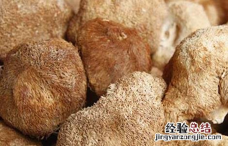 猴头菇的营养价值有哪些 猴头菇的营养价值