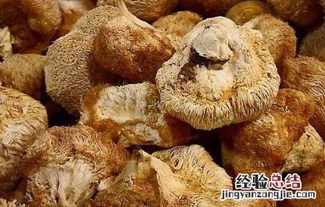 猴头菇的营养价值有哪些 猴头菇的营养价值