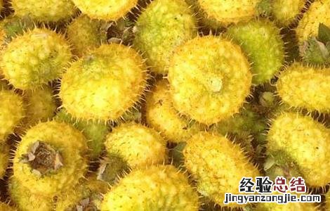 刺梨的营养价值 刺梨的营养价值?