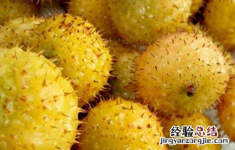 刺梨的营养价值 刺梨的营养价值?