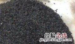 炒芝麻的做法 炒芝麻做法