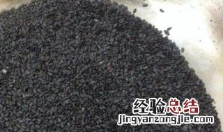 炒芝麻的做法 炒芝麻做法