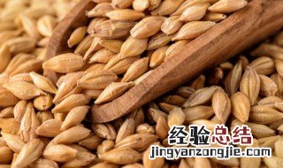 麦芽水怎么煮 断奶麦芽煮水的做法