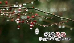 雨水中含有哪些成分 雨的四种形式