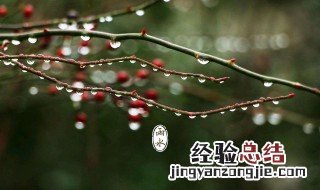雨水中含有哪些成分 雨的四种形式