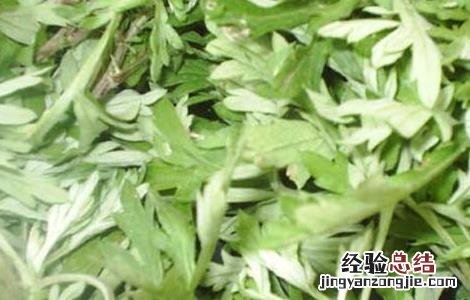 艾叶精油的功效与作用及用法 艾叶精油的功效与作用