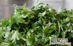 艾叶泡脚可以天天泡吗 艾叶泡脚可以天天泡吗副作用