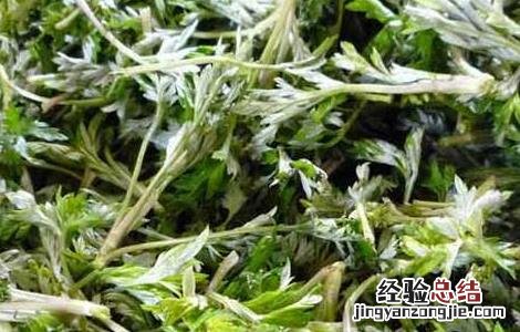 艾叶生姜泡脚的好处 用花椒艾叶生姜泡脚的好处