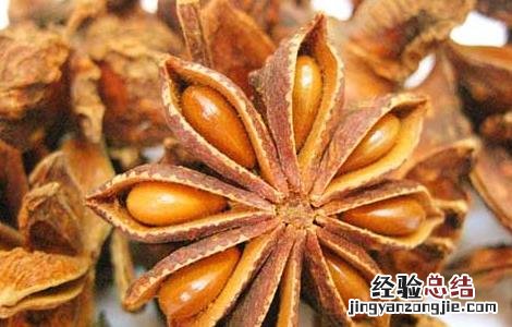 八角的功效与作用与主治 八角的功效与作用