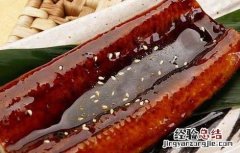 鳗鱼的功效与作用 鳗鱼干的功效与作用