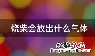 烧柴会放出什么气体 烧柴会放出气体的原因
