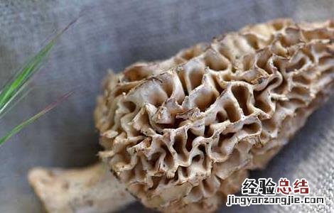 羊肚菌的营养价值 羊肚菌的营养价值及功效与作用
