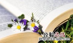 很甜很撩的游戏昵称四字 很甜很撩的游戏昵称两个字