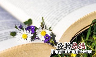 很甜很撩的游戏昵称四字 很甜很撩的游戏昵称两个字