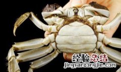 吃了螃蟹可以喝姜汁可乐嘛 吃螃蟹可以喝姜丝可乐吗