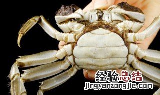 吃了螃蟹可以喝姜汁可乐嘛 吃螃蟹可以喝姜丝可乐吗
