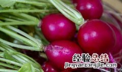 红水果萝卜怎么做好吃 怎么做红水果萝卜好吃