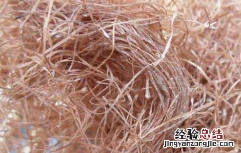 玉米须泡水喝的功效和禁忌有哪些 玉米须泡水喝的功效和禁忌