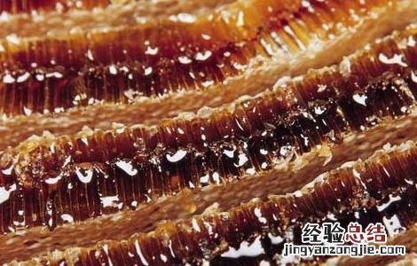 蜂蜜的副作用及禁忌症 蜂蜜的副作用