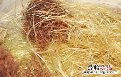 玉米须有什么副作用 玉米须有什么副作用和毒性
