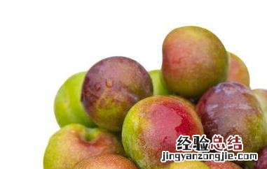五月脆和脆红李的区别 五月脆与脆红李区别