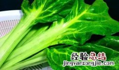 牛皮菜的家常做法大全 牛皮菜的家常做法大全视频