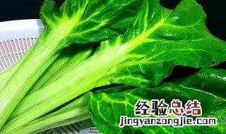 牛皮菜的家常做法大全 牛皮菜的家常做法大全视频
