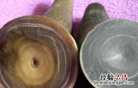 犀牛角的鉴别方法(一 犀牛角的鉴别方法