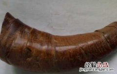 犀牛角的鉴别方法(一 犀牛角的鉴别方法