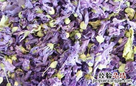 紫罗兰花茶的功效与作用 紫罗兰花茶的功效与作用禁忌