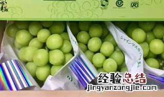 阳光玫瑰大棚一亩多少钱 晴王葡萄和阳光玫瑰的区别