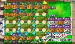 植物大战僵尸屋顶无尽阵型 植物大战僵尸无尽版无敌布阵