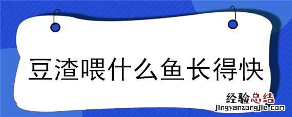 豆渣喂什么鱼长得快 豆渣适合喂什么鱼
