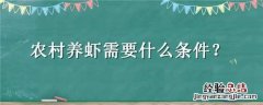 农村养虾需要什么条件 农村养对虾需要什么条件