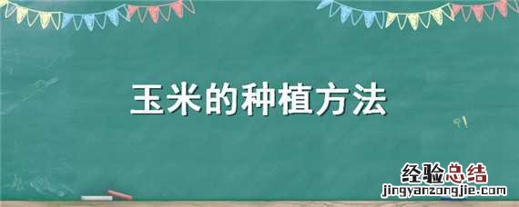 玉米的种植方法 玉米的种植方法和管理技术