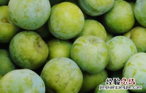 李子的营养价值 李子的营养价值与功效与作用