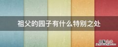 祖父的园子有什么特别之处 祖父的园子里有什么特点