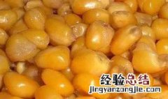 初春玉米窝料发酵多长时间为好 玉米窝料发酵多久