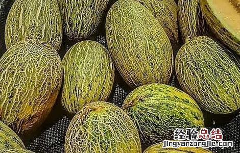 哈密瓜的营养价值 哈密瓜的营养价值及功效