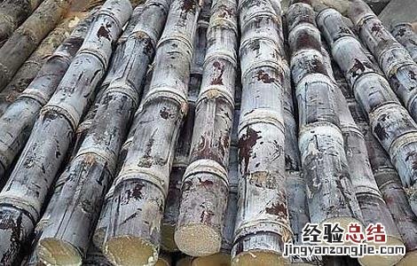 甘蔗的营养价值 甘蔗的营养价值和功效