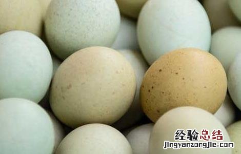 乌鸡蛋和普通鸡蛋的区别营养 乌鸡蛋和普通鸡蛋的区别